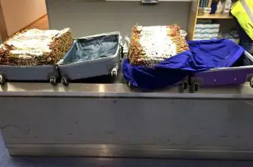 Du khat en contrebande vers la Norvège - Norway Today - 16