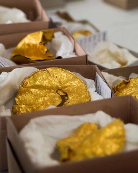 Un archéologue amateur découvre "l'un des plus grands trésors d'or de l'histoire danoise" - 28