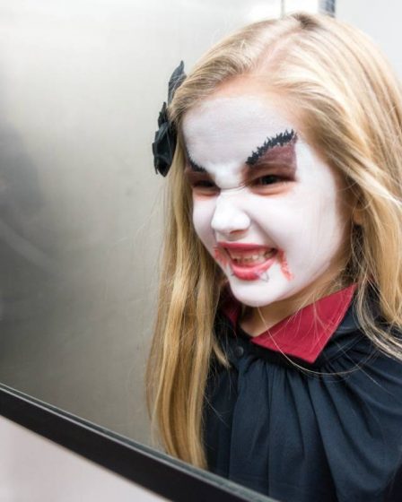 Ministre norvégien de la Santé Kjerkol : Les enfants qui se sentent malades ne peuvent pas aller faire un tour à Halloween - 9