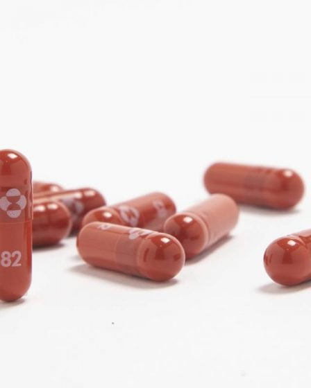 Merck affirme que son médicament corona expérimental peut réduire de moitié les hospitalisations et les décès 11 Merck affirme que son médicament corona expérimental peut réduire de moitié les hospitalisations et les décès - 10