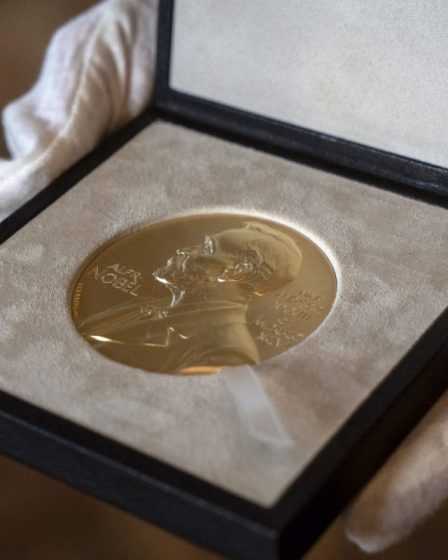 Prix Nobel de la paix : le prix le plus prestigieux et controversé au monde 23 Prix Nobel de la paix : le prix le plus prestigieux et controversé au monde - 22