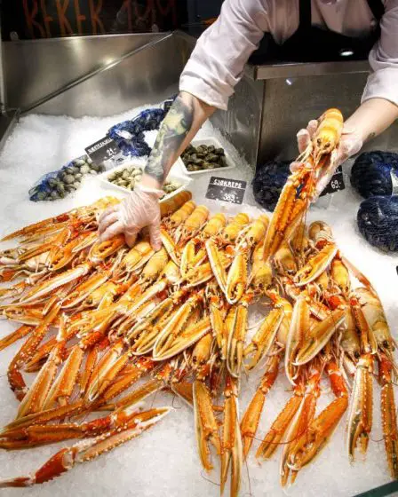Par rapport à 2020, les exportations norvégiennes de produits de la mer ont augmenté de 7,9 milliards de couronnes jusqu'à présent cette année 14 Par rapport à 2020, les exportations norvégiennes de produits de la mer ont augmenté de 7,9 milliards de couronnes jusqu'à présent cette année - 13