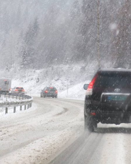 Avertissement de danger jaune émis pour les fortes chutes de neige dans les montagnes du sud de la Norvège - 18