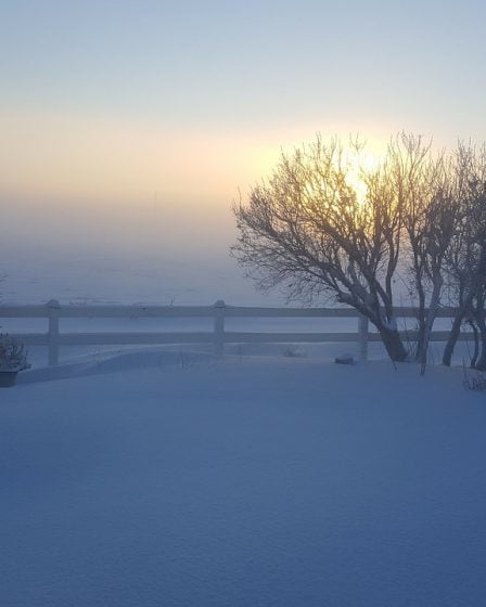L'air froid de Sibérie donne des températures plus froides au sud de la Norvège 14 L'air froid de Sibérie donne des températures plus froides au sud de la Norvège - 13