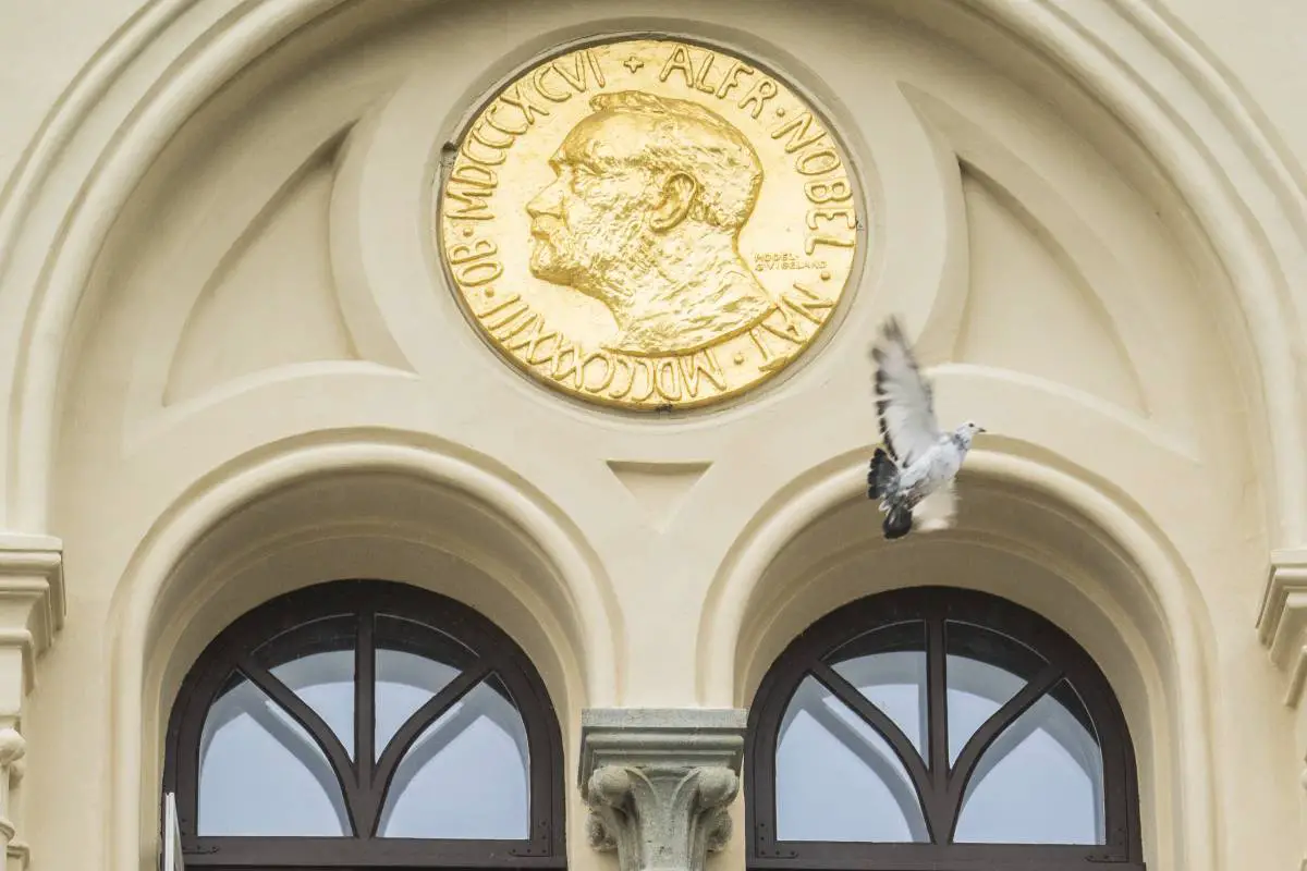 PHOTO : une colombe blanche lâchée à l'occasion de l'annonce du prix Nobel de la paix cette année - 3
