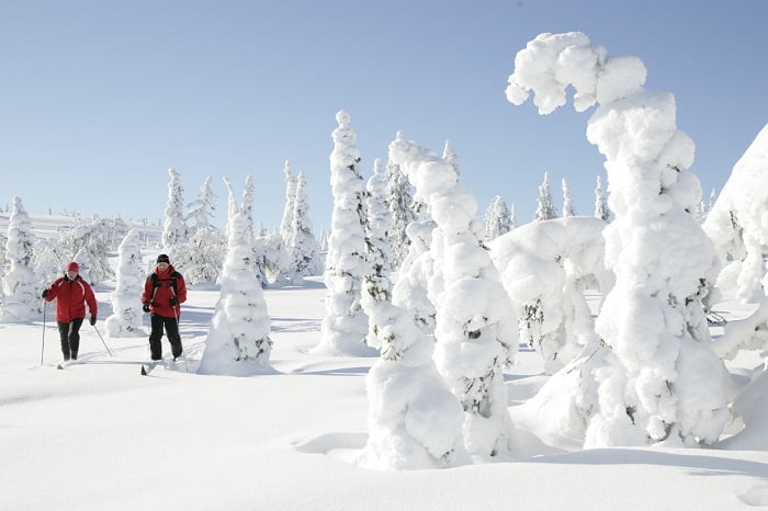 Un sur cinq part en vacances d'hiver 4 Un sur cinq part en vacances d'hiver - 3