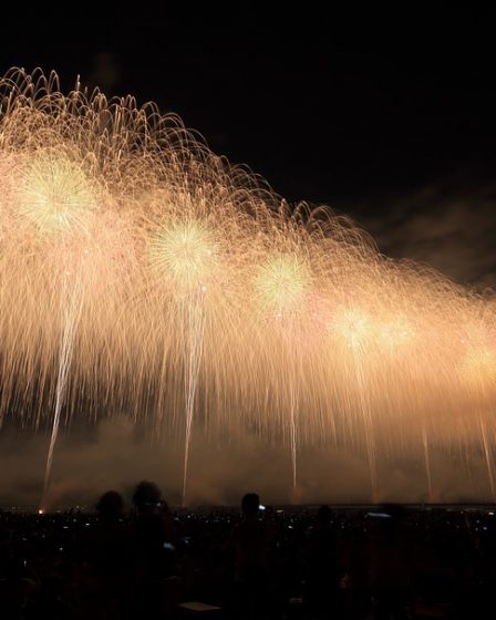 Trois personnes sont gravement blessées aux yeux par des feux d'artifice 20 Trois personnes sont gravement blessées aux yeux par des feux d'artifice - 19