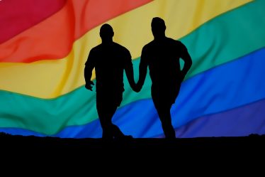 Les pays de l'UE ne sont pas autorisés à effectuer des tests psychologiques sur les demandeurs d'asile homosexuels - 20