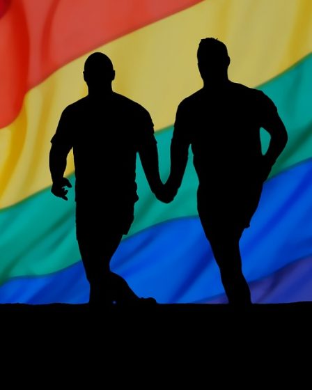 Les pays de l'UE ne sont pas autorisés à effectuer des tests psychologiques sur les demandeurs d'asile homosexuels 11 Les pays de l'UE ne sont pas autorisés à effectuer des tests psychologiques sur les demandeurs d'asile homosexuels - 10