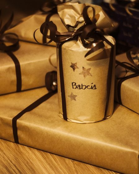 Point vert : 60 000 tonnes d'emballages de Noël 17 Point vert : 60 000 tonnes d'emballages de Noël - 16