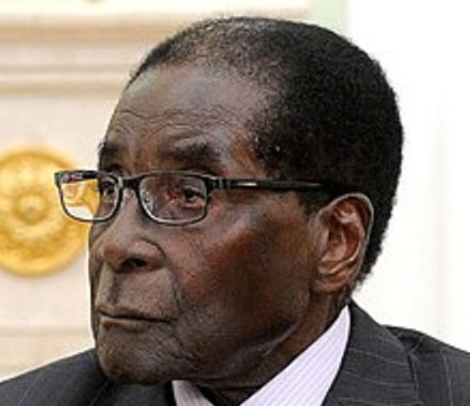 Robert Mugabe destitué à la tête du parti - 3