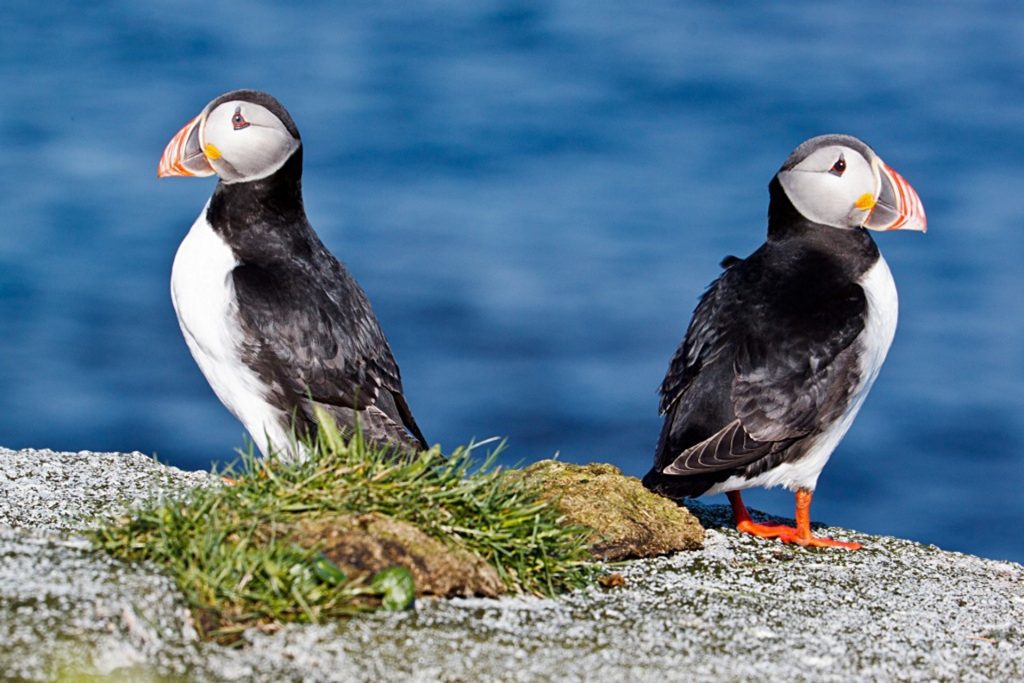 Itinéraire de 9 jours pour explorer la côte ouest de la Norvège 40 Itinéraire de 9 jours pour explorer la côte ouest de la Norvège - 39
