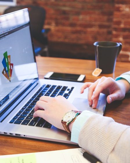 L'ombudsman des douanes et des consommateurs met en garde contre les sites pirates en ligne 12 L'ombudsman des douanes et des consommateurs met en garde contre les sites pirates en ligne - 11