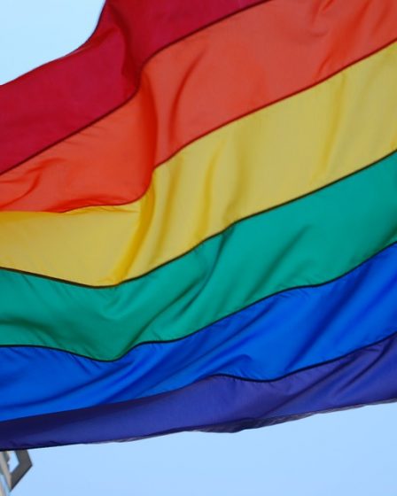 Ropstad silencieux sur le drapeau arc-en-ciel 14 Ropstad silencieux sur le drapeau arc-en-ciel - 13