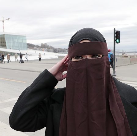 L'Autriche se prépare à interdire les vêtements couvrant le visage 5 L'Autriche se prépare à interdire les vêtements couvrant le visage - 4