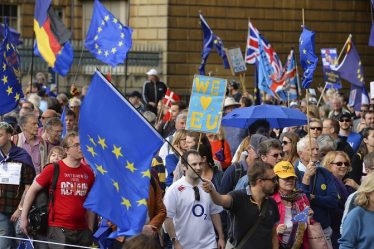Jusqu'à 50 000 manifestants exigent l'arrêt du Brexit à Londres - 20