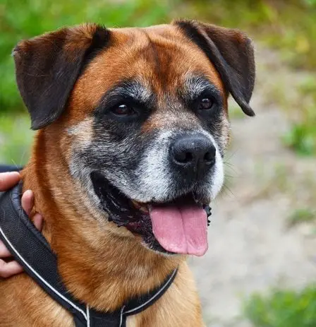 « Bob doit mourir », déclare la Cour d'appel 26 « Bob doit mourir », déclare la Cour d'appel - 25