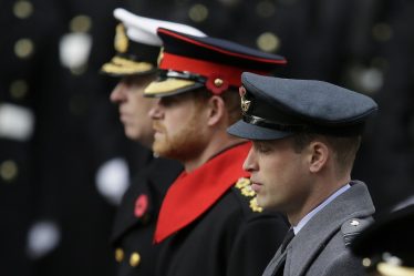 Les princes britanniques ont choisi un sculpteur - 16