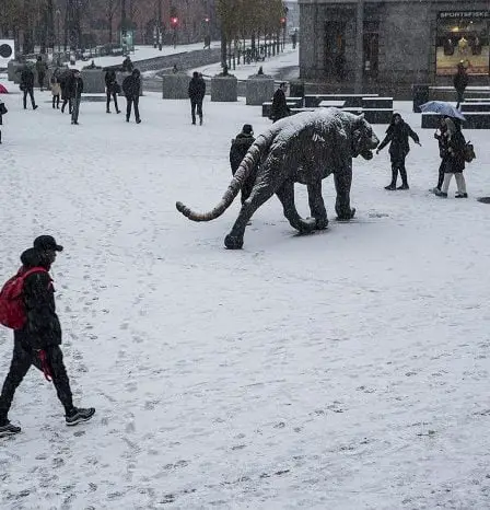 La neige tombe pour la première fois cet hiver dans le sud de la Norvège 23 La neige tombe pour la première fois cet hiver dans le sud de la Norvège - 22
