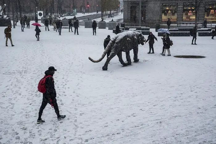 La neige tombe pour la première fois cet hiver dans le sud de la Norvège 4 La neige tombe pour la première fois cet hiver dans le sud de la Norvège - 3