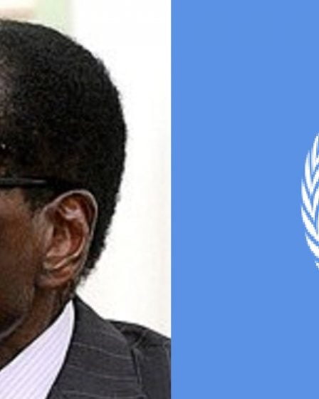L'OMS retire la nomination de Mugabe 26 L'OMS retire la nomination de Mugabe - 25
