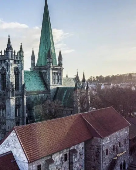 Les taux d'infection à Trondheim restent élevés: 125 nouveaux cas de corona enregistrés au cours des dernières 24 heures 25 Les taux d'infection à Trondheim restent élevés: 125 nouveaux cas de corona enregistrés au cours des dernières 24 heures - 24