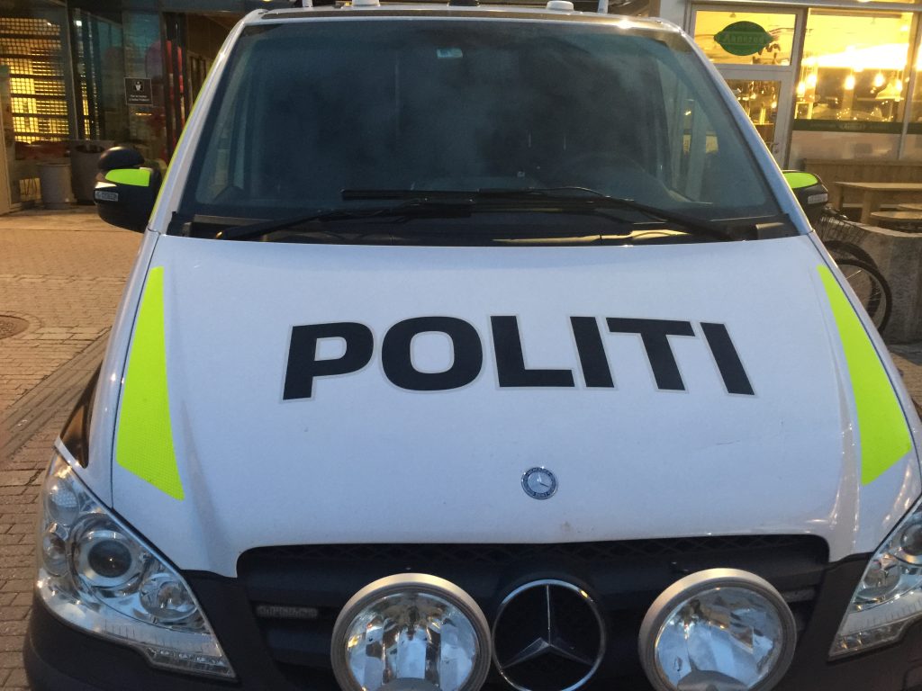 Un homme grièvement blessé à la machette à Oslo 4 Un homme grièvement blessé à la machette à Oslo - 3