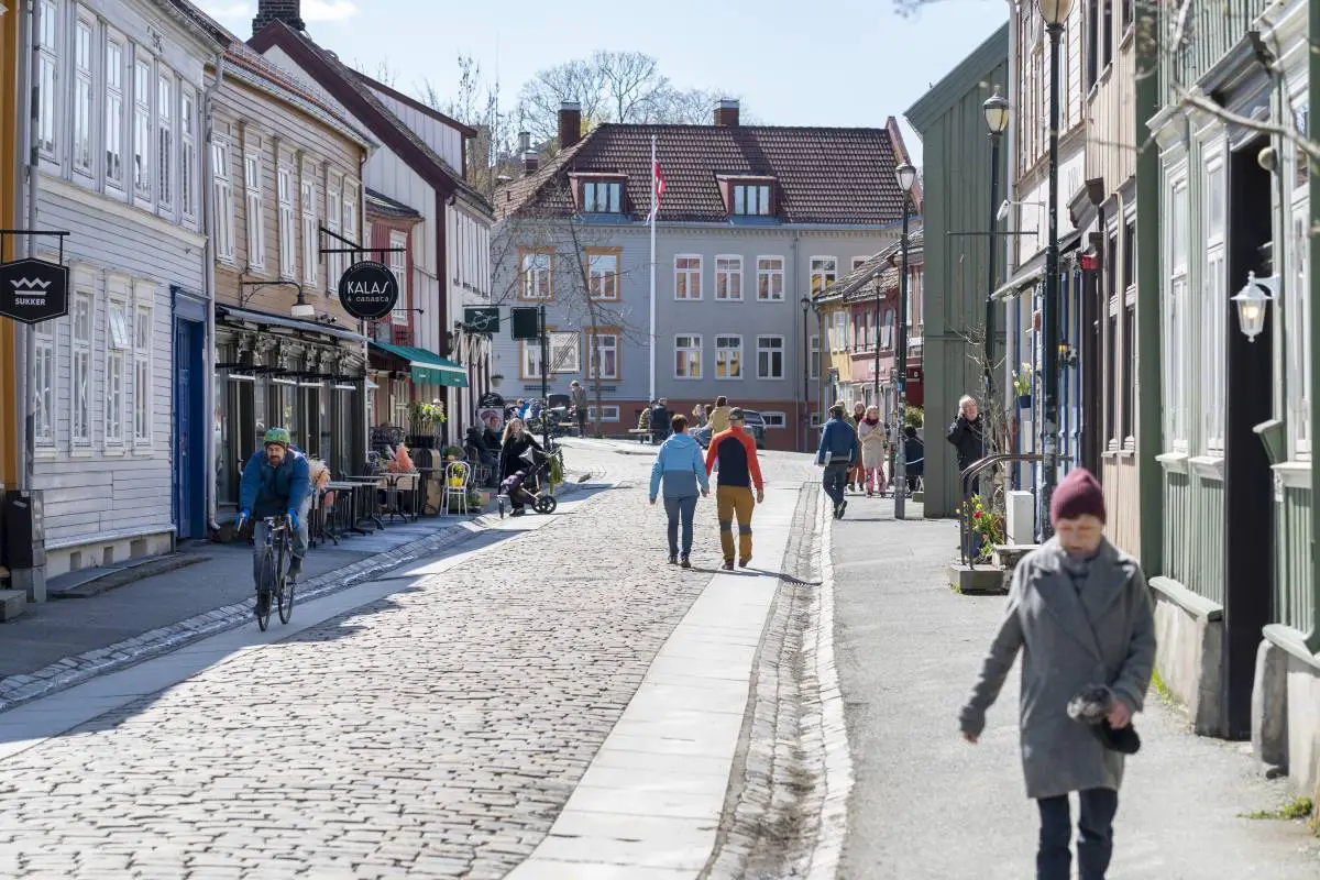 Le FHI norvégien pense que la nouvelle variante delta présente à Trondheim deviendra dominante dans tout le pays 4 Le FHI norvégien pense que la nouvelle variante delta présente à Trondheim deviendra dominante dans tout le pays - 3