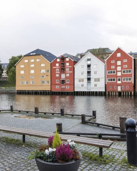 Mise à jour: 132 nouveaux cas corona enregistrés à Trondheim 23 Mise à jour: 132 nouveaux cas corona enregistrés à Trondheim - 22
