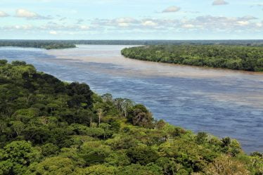 Puissant avertissement de forêt tropicale norvégienne au Brésil - 18