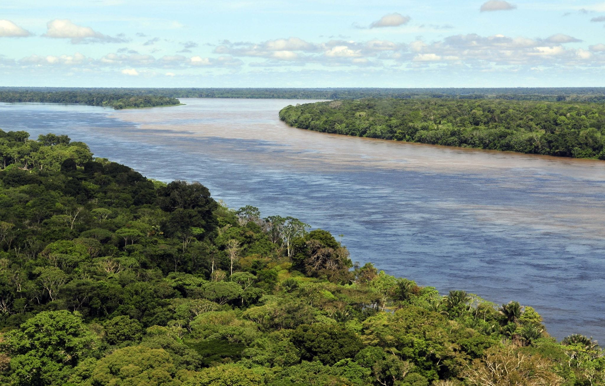 Puissant avertissement de forêt tropicale norvégienne au Brésil 4 Puissant avertissement de forêt tropicale norvégienne au Brésil - 3