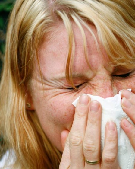 FHI : L'épidémie de virus RS en Norvège a peut-être atteint son apogée 5 FHI : L'épidémie de virus RS en Norvège a peut-être atteint son apogée - 4