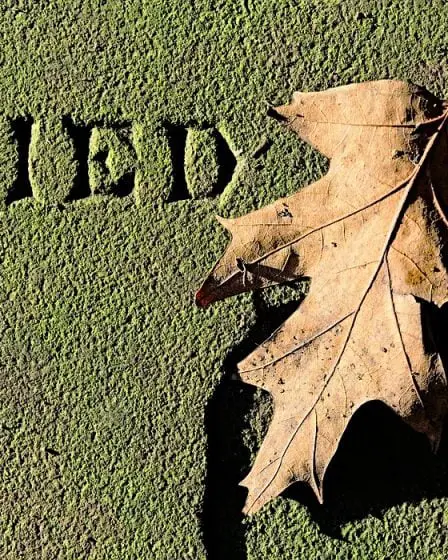 Plus de 30 enfants sont morts de la rougeole en Europe en 2017 5 Plus de 30 enfants sont morts de la rougeole en Europe en 2017 - 4