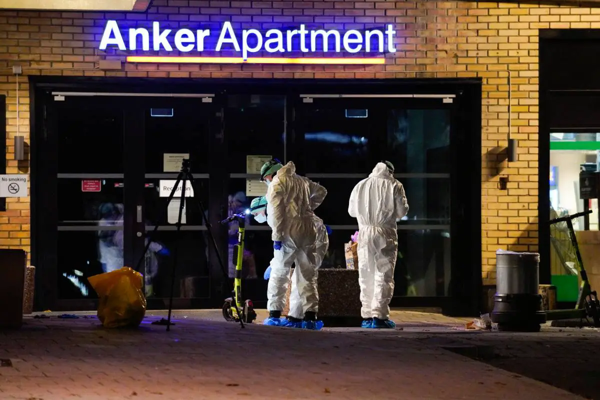 PHOTO : Coup de couteau à Oslo : une personne morte, aucune arrestation - 7