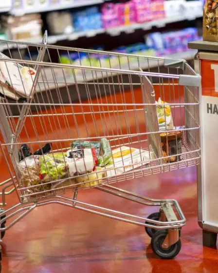 La moitié des Norvégiens veulent des taxes plus élevées sur les produits à forte empreinte climatique, selon une nouvelle enquête 20 La moitié des Norvégiens veulent des taxes plus élevées sur les produits à forte empreinte climatique, selon une nouvelle enquête - 19