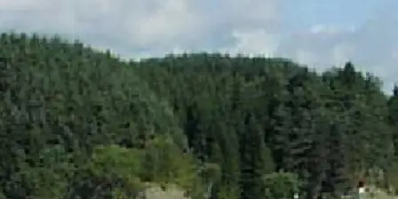 La municipalité d'Alver émerge - Norway Today - 10