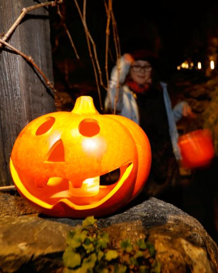 GALERIE DE PHOTOS : découvrez comment les Norvégiens fêtent Halloween - 42