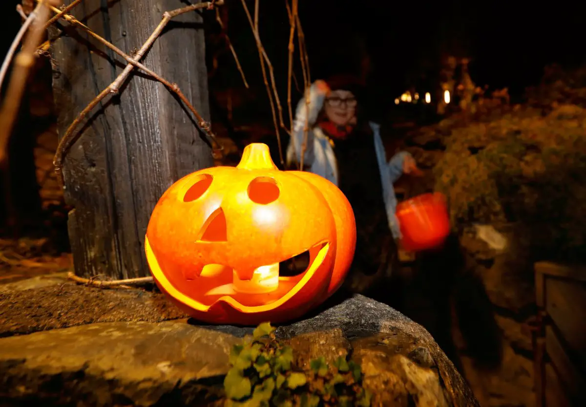 GALERIE DE PHOTOS : découvrez comment les Norvégiens fêtent Halloween - 39