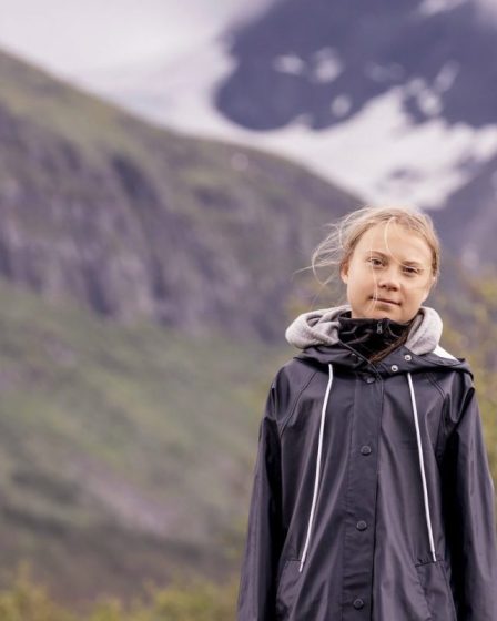 Greta Thunberg est sortie de cinq décennies d'activisme environnemental des jeunes en Suède - 25