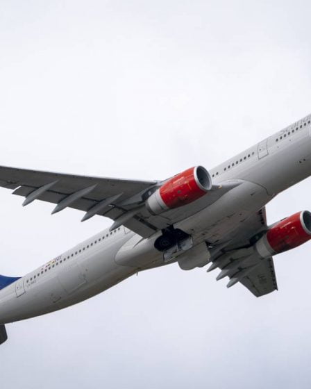 Le patron de SAS dit que l'entreprise "se bat pour survivre" 29 Le patron de SAS dit que l'entreprise "se bat pour survivre" - 28