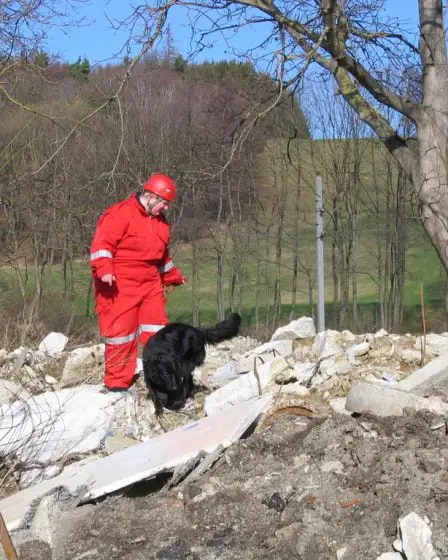 Un homme disparu à Lommedalen retrouvé en bonne santé 11 Un homme disparu à Lommedalen retrouvé en bonne santé - 10