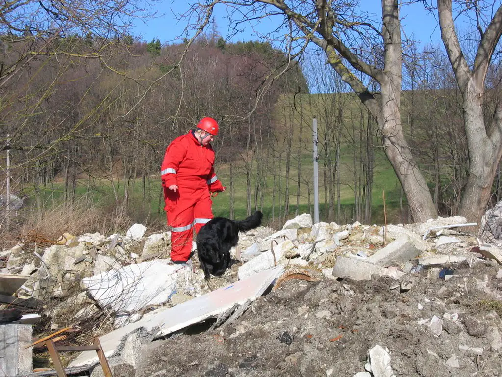 Un homme disparu à Lommedalen retrouvé en bonne santé 4 Un homme disparu à Lommedalen retrouvé en bonne santé - 3