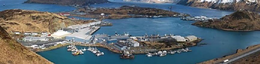 Progrès climatiques au Conseil de l'Arctique, selon la Suède 4 Progrès climatiques au Conseil de l'Arctique, selon la Suède - 3