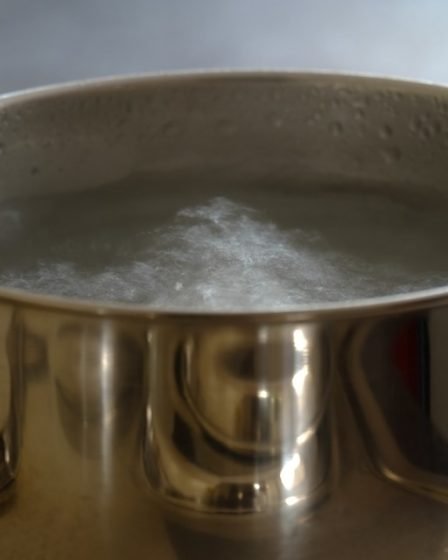 3 enfants et un adulte pour le contrôle après la cuisson à sec - 1