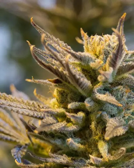 21 ans de prison pour le chef de la police Eirik Jensen 11 21 ans de prison pour le chef de la police Eirik Jensen - 10