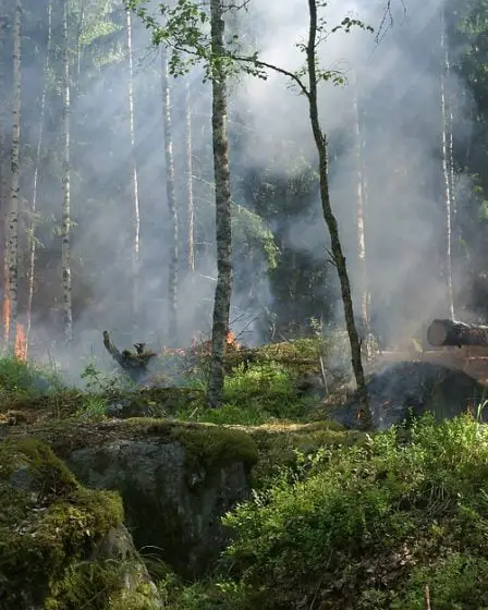 Risque d'incendies de forêt dans l'ouest de la Norvège 11 Risque d'incendies de forêt dans l'ouest de la Norvège - 10