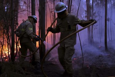 62 morts dans l'incendie de forêt portugais - 18