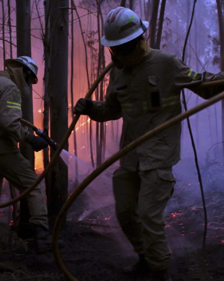 62 morts dans l'incendie de forêt portugais 5 62 morts dans l'incendie de forêt portugais - 4