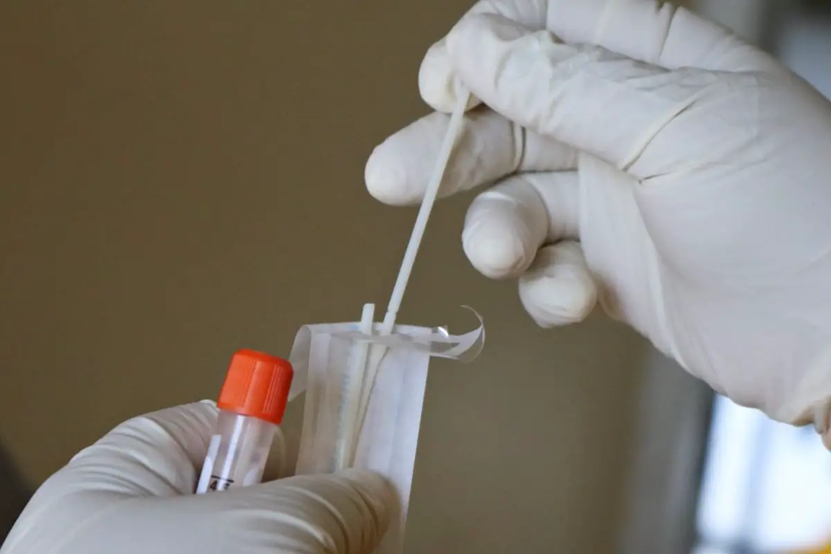 Nouveau record quotidien: 2 552 nouveaux cas d'infection corona enregistrés en Norvège au cours des dernières 24 heures - 3