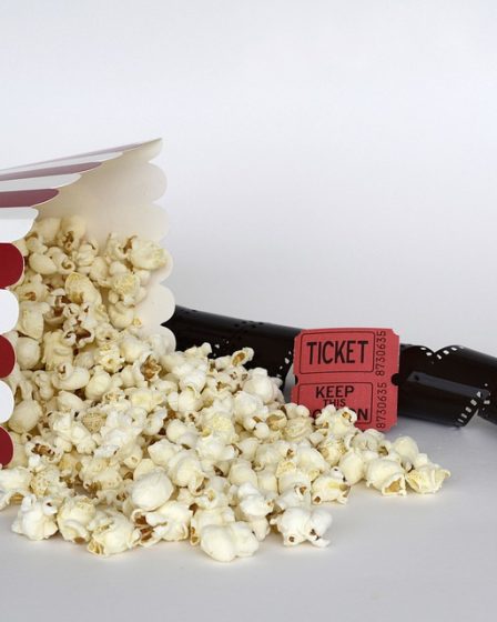 Confirmation de la demande dans l'affaire Popcorn Time 27 Confirmation de la demande dans l'affaire Popcorn Time - 26